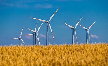 Windräder hinter goldgelbem Getreidefeld